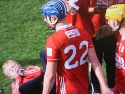 darragh fitzgibbon