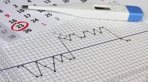 Das bedeutet, dass 75 bis 85 prozent aller frauen innerhalb eines jahres schwanger werden, wenn sie nicht verhüten. Eisprung Berechnen Richtiger Zeitpunkt Zum Schwanger Werden
