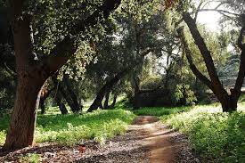 Hiltscher Park Trail Park Trails Park Day Hike