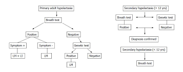 Lactose Malabsorption And Intolerance What Should Be The