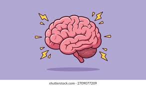 Image result for Brain Gyri