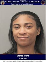 TRAFFIC STOP LEADS TO THE ARREST OF TWO WANTED SUSPECTS! On March 15, 2025,  deputies with Constable Mark Herman's Office conduced a traffic stop n a  vehicle in the 4300 block of