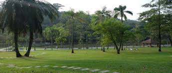 No 15 lorong datuk sulaiman 7 taman tun dr ismail, kuala lumpur 60000 malaysia. The Thriving Township Of Taman Tun Dr Ismail Tun Razak Exchange