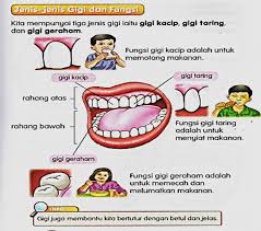 Maybe you would like to learn more about one of these? Sains Tahun 3 Science Quiz Quizizz