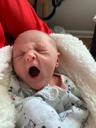 The favorite ❤️💕💕😂