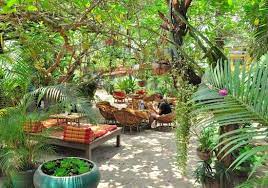 Peace Cafe Siem Reap Siem Reap Landscape Architecture Cafe