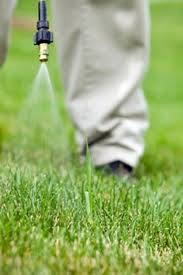 If your points do expire unexpectedly, it's worth following up with the frequent flyer program to see if they will reinstate your balance for a fee or after completing some sort of shopping challenge. Weed Killer Residue Length Of Time Chemical Herbicides Linger In Soil