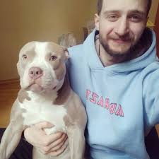 თორის უყვარს სელფები 😍♥️ . . . . . #თორი #სიფი #Thor #americanbully  #american #bully #dog #dogsofinstagram #puppy #dogs #dogstagram #love #cute  #instadog #doglover #dogoftheday #pet #puppylove #puppies #pets #instagood  ...