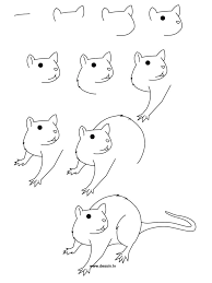 Drawing Rat | Animal Drawings, Easy Drawings, Step By Step Drawing