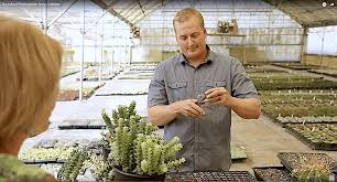Apr 14, 2020 · let's start with the most common and what many consider to be the easiest way to propagate succulents: How To Propagate Succulents Dividing Cuttings Offsets Rooting Leaves Coring More Debra Lee Baldwin Succulent Expert