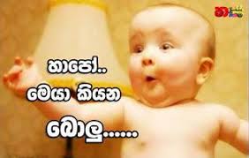 Pin On Sinhala Picture Comments