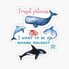Marine biology is the scientific study of the biology of marine life, organisms in the sea. Marine Biology Stickers Redbubble