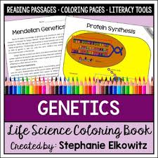 Transcription the code with which to synthesize our hypothetical peptide lies within dna. Rna Coloring Activity Worksheets Teachers Pay Teachers