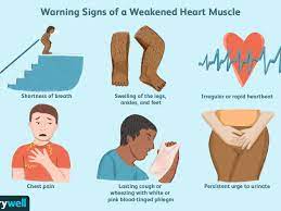 Cardiomyopathy (Weakened Heart Muscles): Symptoms And Causes