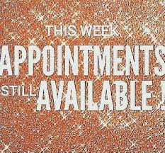 Pin On Stefanie Elise Hair