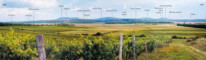 Penzion pod vinicí mikulov 1 až 24 osob | 9 pokojů. Voc Mikulovsko Vina Originalni Certifikace