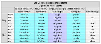 3rd Declension Liquid And Nasal Stems M F Dickinson