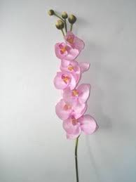 Maybe you would like to learn more about one of these? Artificial Silk Phalaenopsis Orchid Single Stem Just Artificial