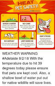Thursday and continues until 1 p.m. Heat Pet Safety Wwwdvmmultimediacom V Dvmmultimedia No Cars Shade Water Protect Your Pets From The Sun S Rays And Keep Them Hydrated Never Leave A Pet In The Car Not Even With