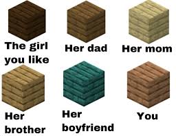 The burnable ones are oak, spruce, birch, jungle, acacia, and dark oak, which can be told apart by their various shades of brown but otherwise behave identically. Minecraft Memes On Twitter Dark Oak Wood For The Win