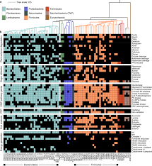 Maybe you would like to learn more about one of these? Interspecies Cross Feeding Orchestrates Carbon Degradation In The Rumen Ecosystem Nature Microbiology