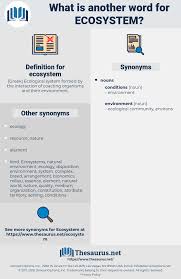 Synonyms For Ecosystem Thesaurus Net