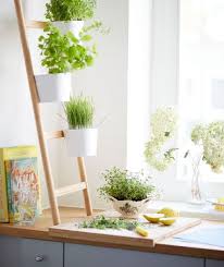 Use A Plant Ladder To Grow Herbs In The Kitchen A Vertical Solution Frees Up Worktops Leaving More Room For Food Prep Find Mo Ikea Plant Ladder Ladder Decor