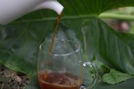 Bissy For Detoxing Evergreen Plants Tree Tech Detox