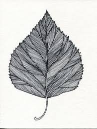 3fdc2e82ee5757b13abc9723ead1007d Jpg 236 312 Feather Art Drawing Leaf Drawing Leaves Sketch