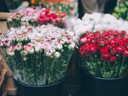 I just got a discount at send flowers and earned $8.64 in cash back. Everything You Need To Know Before Ordering Flowers On Valentine S Day