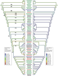 Image result for Pleopeltis  × simiana