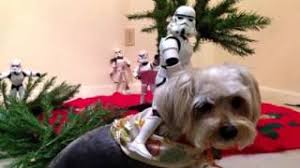 After all, if you love them, you might want to get them shipped in. Stormtroopers Christmas Tree Setup Star Wars Youtube