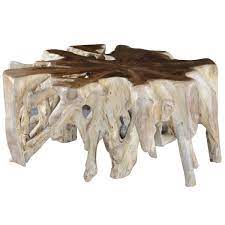 How deep do italian cypress roots go? Cypress Root Coffee Table Peter Andrews