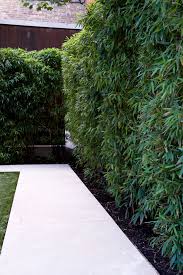 Garden Design Leigh On Sea Garden Landscaper Southend Essex Garden Hedges Bamboo Landscape Bamboo Garden