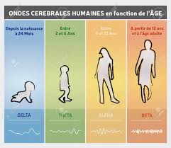 Human Brain Waves By Age Chart Diagram People Silhouettes