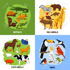 Cartoon 2x2 Zoo Images Of Animals Sets Grouped By Reptiles Birds Royalty Free Cliparts Vectors And Stock Illustration Image 56987726