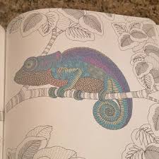 Download Coloring Book Review Animal Kingdom And Tropical World By Millie Marotta The Bibliosanctum