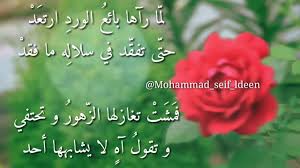 كلام عن جمال الورد تويتر aiqtabas blog