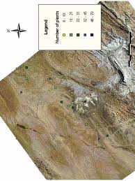 Image result for Limeum argute-carinatum