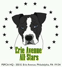 Erie Avenue All Stars Female Male Cats Cats Are Available For Foster Care Or Adoption At The Pennsylvania Spca Shelter Located At 3 Dog Adoption Erie Cats