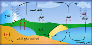 ماذا نسمي عملية صعود الماء الى الغلاف الجوي اسأل العرب