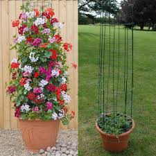 Marvelous 25 Easy Diy Container Flowers Ideas For Your Wonderful Simple Garden Https Hroomy Com Plants Garden 2 Plants Container Flowers Container Gardening