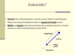Tratarea cantităților ca vectori dechide multe. Ppt Proiect La Informatica Powerpoint Presentation Free Download Id 6336701