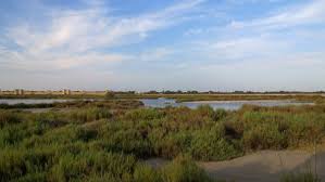 Remparts Vu Des Salins Du Midi A Aigues Mortes En Petite Camargue Gard Tourisme Voyage Camargue Petite Camargue Voyage