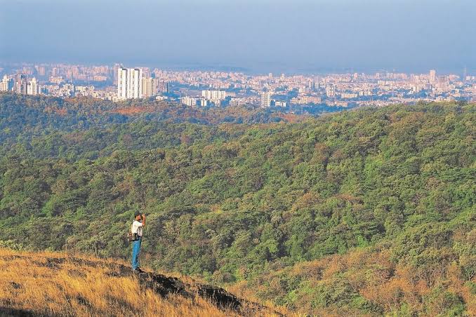 Should there be road-tunnels under Mumbai's Sanjay Gandhi National Park?