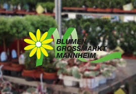 Fax 0911 94 88 77 50. Borsenzeit Im Blumengrossmarkt Mannheim Blumengrossmarkt E G Mannheim