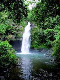 Fiji For First Timers How To Choose An Island Fiji Travel Travel To Fiji Fiji