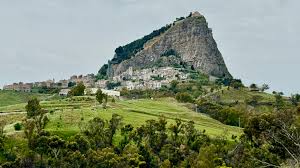 Image result for Sutera debilis