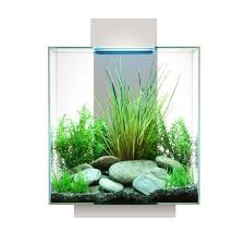 Fluval Edge Aquarium Kit In White 12 Gal White Simple Yet Elegant The Architectural Lines Of The Fluval Edge Capture Emotion And Kolam Ikan Akuarium Ikan