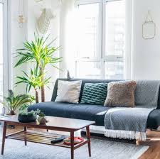 All the living room ideas you'll need from the expert ideal home editorial team. 15 Best Living Room Plants Living Room Indoor Plants To Buy Now